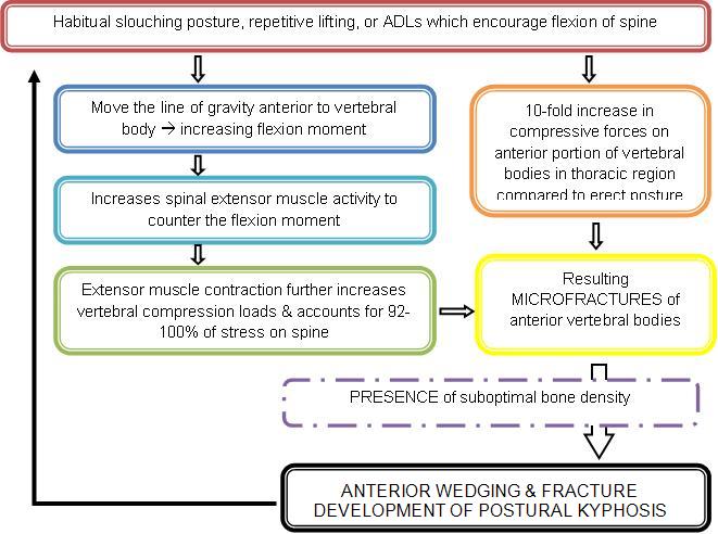 Flow Chart Posture